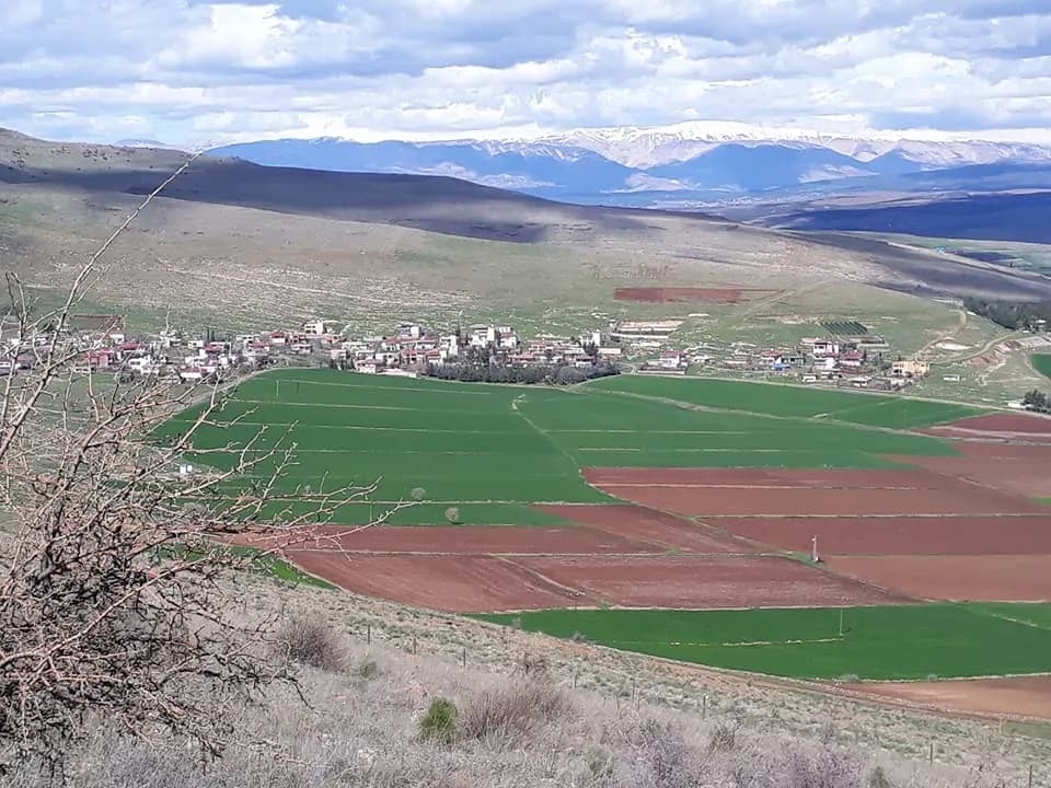 Çiyayê Tûte'nin Öyküsü